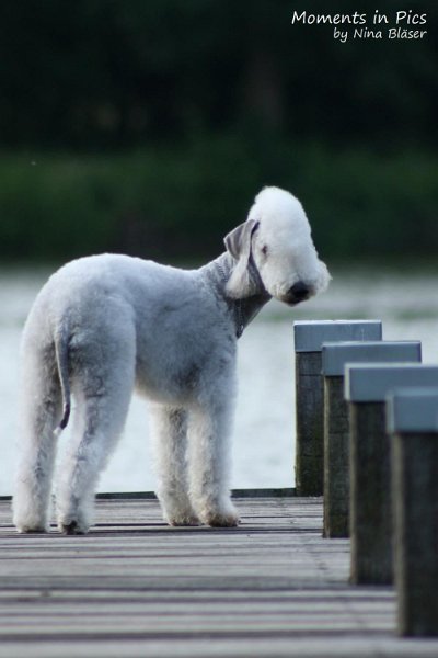 2010-06-14 Airis Blue Volshebny Svet (6).jpg